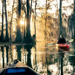 A serene scene of a person kayaking through a swamp in Louisiana at sunrise surrounded by tall cypress trees.