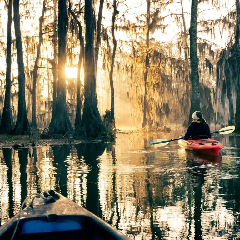 A serene scene of a person kayaking through a swamp in Louisiana at sunrise surrounded by tall cypress trees.