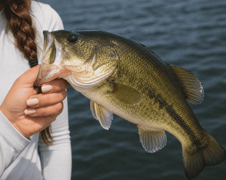 Woman holding a largemouth bass during fishing trip.