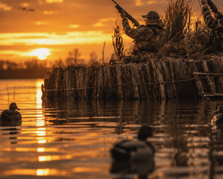 Duck hunters in a blind in the marsh at sunrise on a tranquil lake.