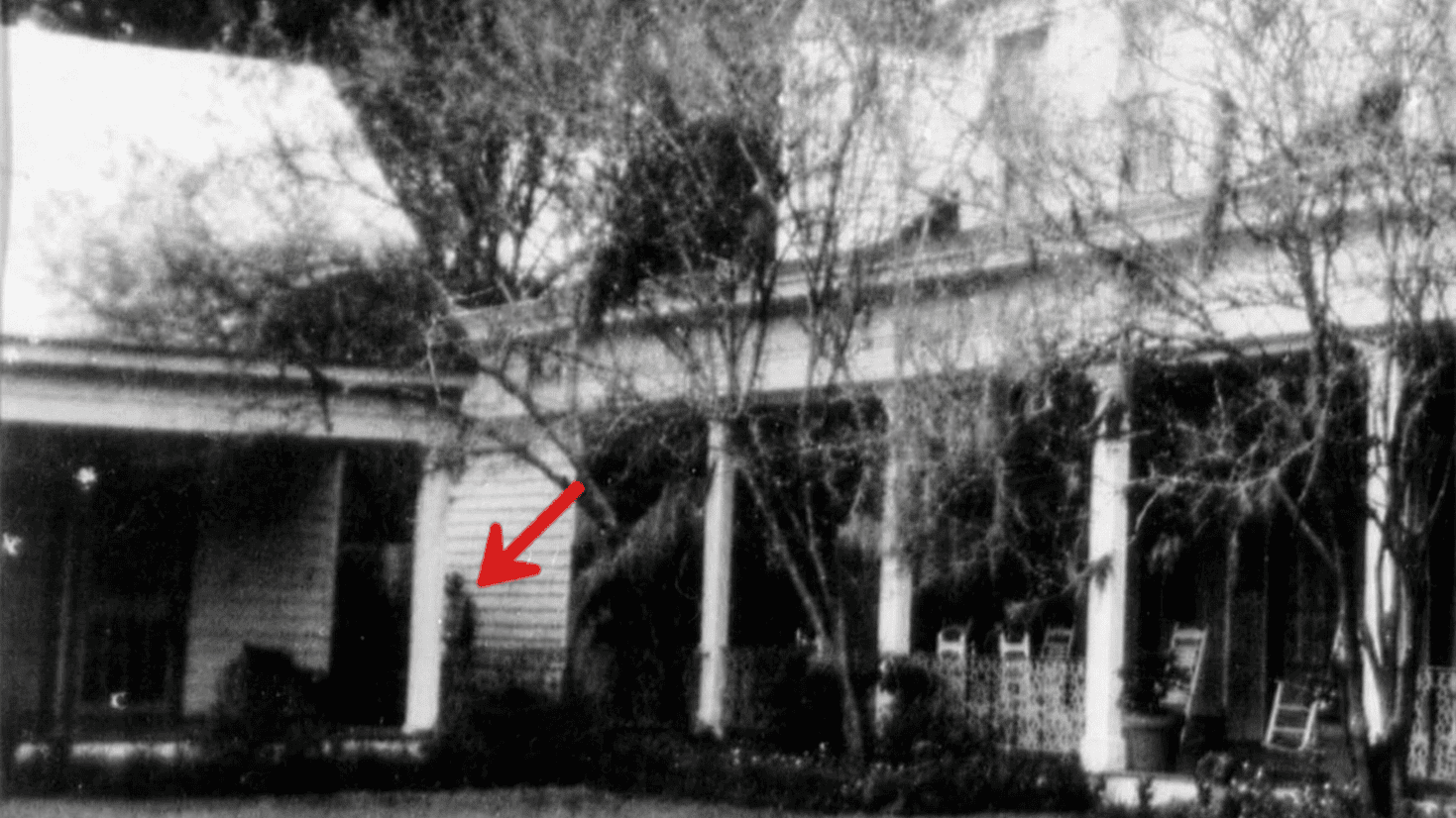Old Louisiana house with overgrown trees and porch, black and white photo.