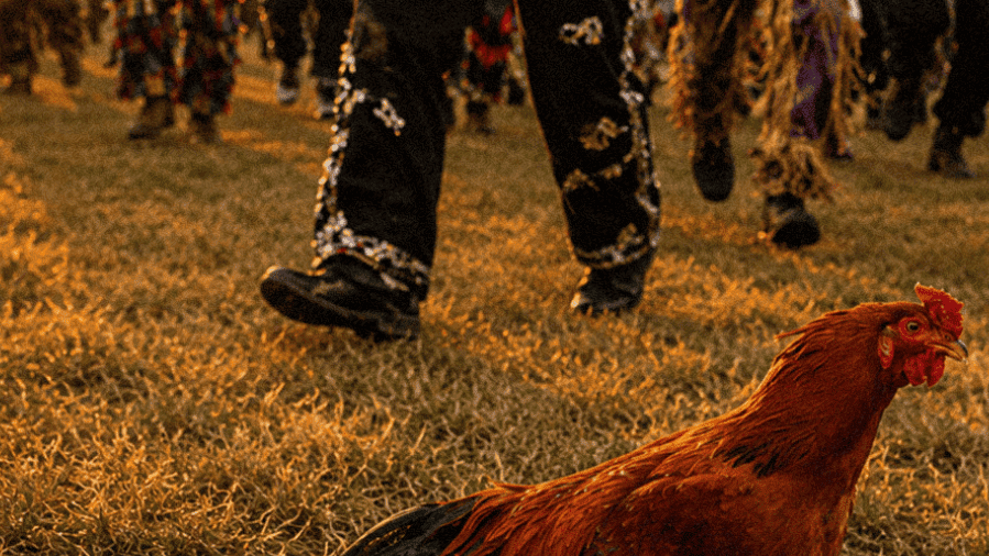 Traditional Courir de Mardi Gras event with vibrant costumes and a chicken in a rural outdoor setting.
