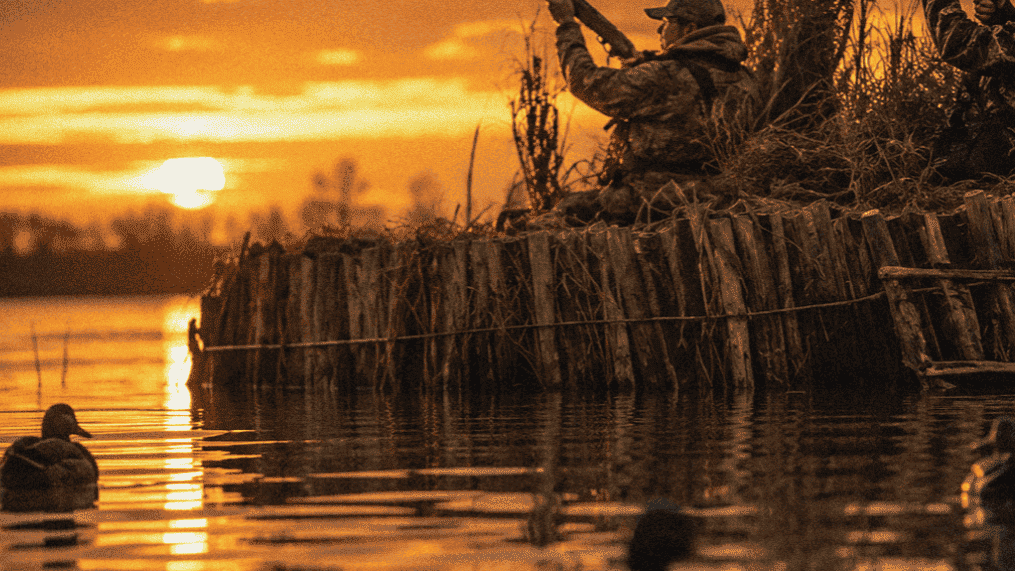 Duck hunters in a blind in the marsh at sunrise on a tranquil lake.
